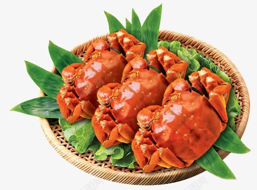 大闸蟹螃蟹中秋节食物PNS透明底png免抠素材_新图网 https://ixintu.com PNS透明底 中秋节食物 大闸蟹 螃蟹