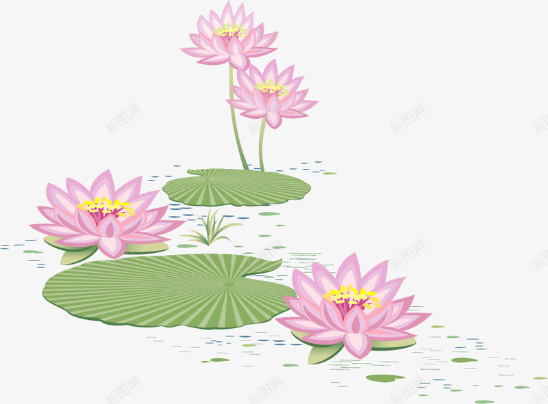 荷花池png免抠素材_新图网 https://ixintu.com 夏季 粉色 荷花池