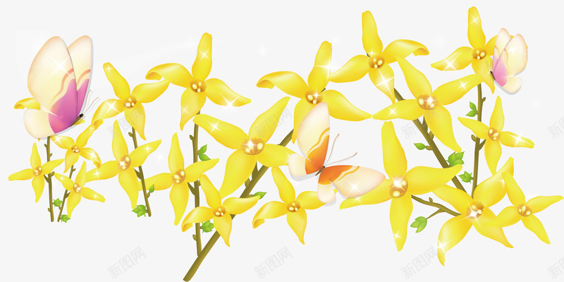 黄色迎春花迎春png免抠素材_新图网 https://ixintu.com 春季 迎春日 迎春素材 迎春花 黄色素材