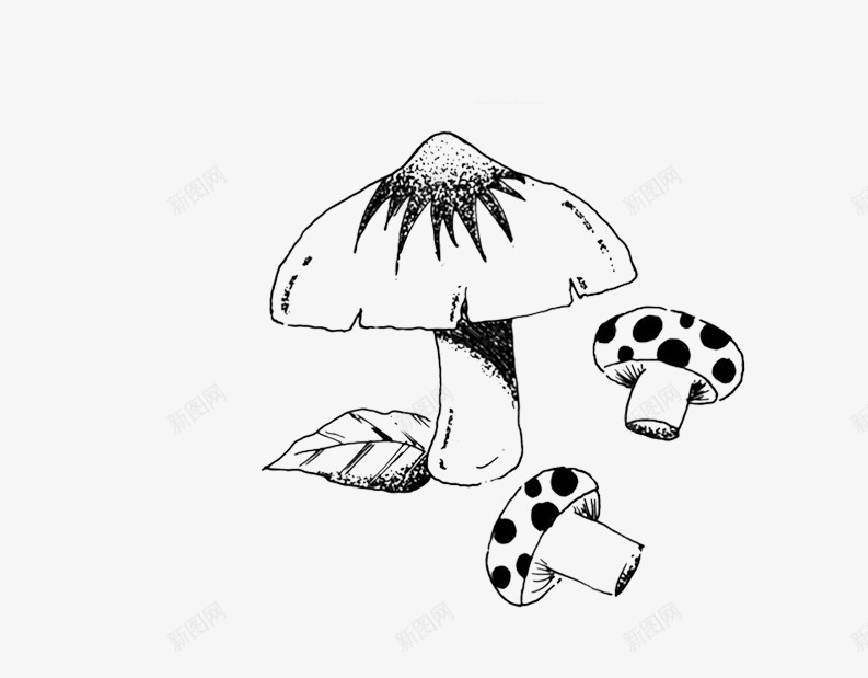黑色简笔画png免抠素材_新图网 https://ixintu.com 图库香菇图片 手绘香菇 简单的香菇图片 素材图片