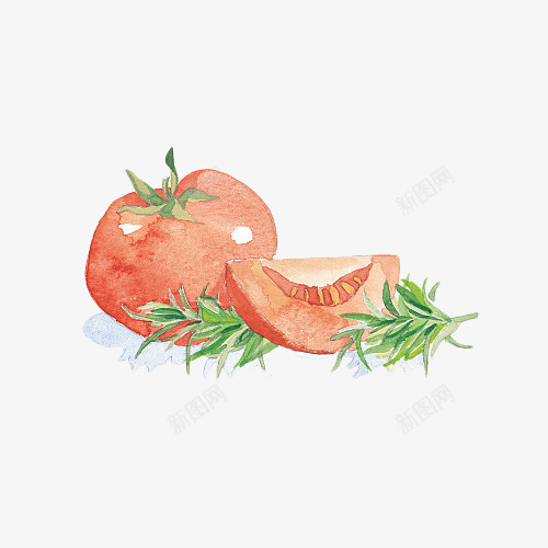 手绘水彩西红柿和迷迭香插画png免抠素材_新图网 https://ixintu.com 手绘 手绘迷迭香 插画 水彩 番茄 西红柿 调味品 调料 迷迭香 香料