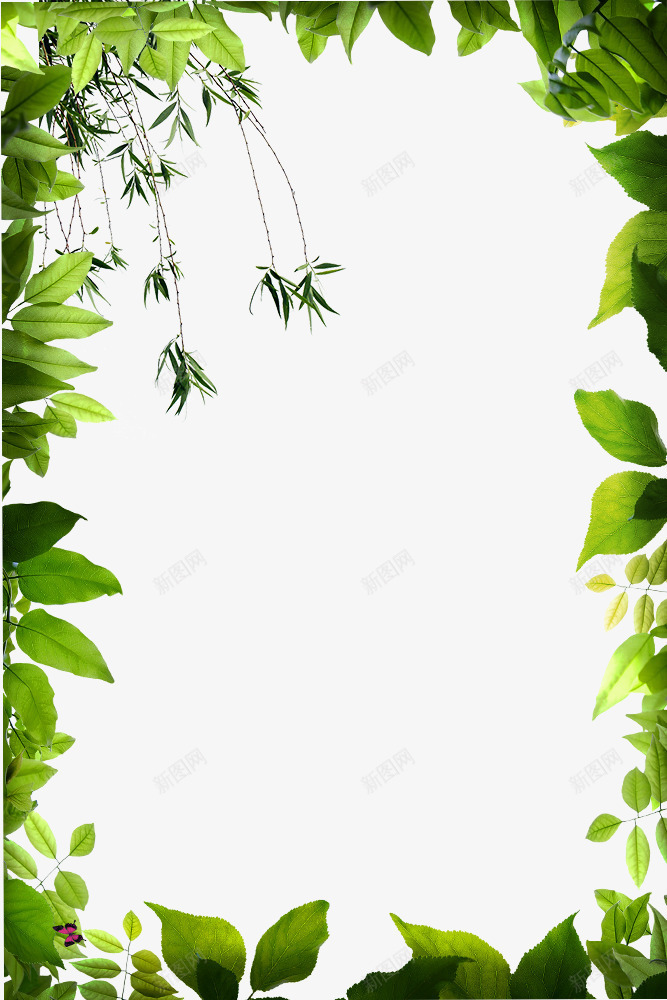 手绘绿色生机树叶边框psd免抠素材_新图网 https://ixintu.com 手绘树叶 手绘画 手绘花朵 手绘花草 树木植物 草装饰
