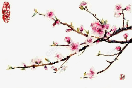 手绘桃花png免抠素材_新图网 https://ixintu.com 手绘 桃花 简单 粉色