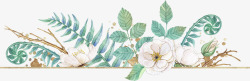 花卉枫叶边框手绘植物花卉边框高清图片