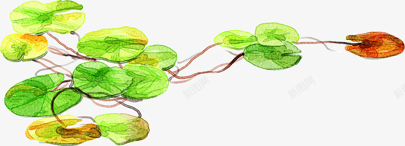 绿色荷叶手绘夏天png免抠素材_新图网 https://ixintu.com 夏天 手绘 绿色 荷叶