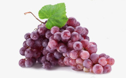 有机吐鲁番葡萄紫葡萄高清图片