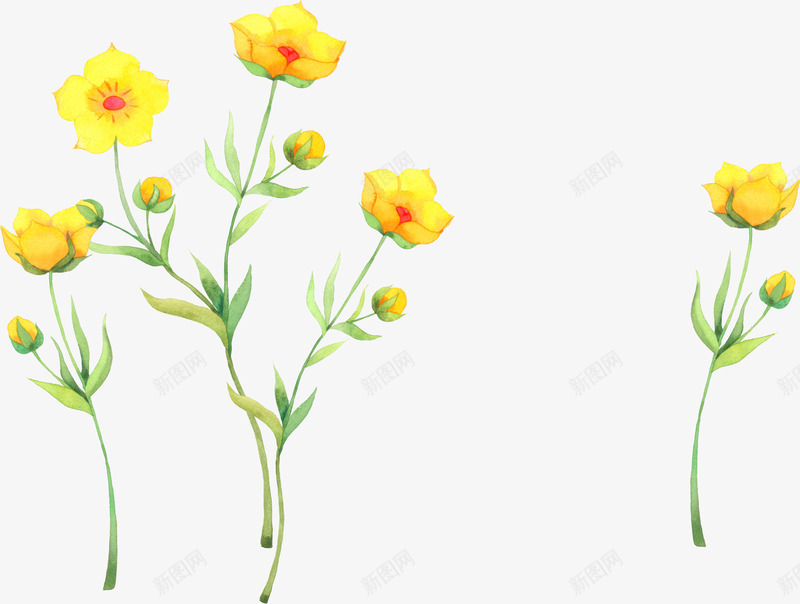 手绘黄色小花植物生命力png免抠素材_新图网 https://ixintu.com 植物 生命力 黄色