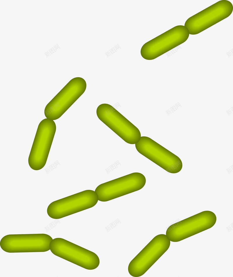 绿色多细胞分裂图png免抠素材_新图网 https://ixintu.com 显微镜 生物医疗 生物学 生物研究 真菌 细胞 细胞高清大图 细菌 细菌结构 蛋白质细胞