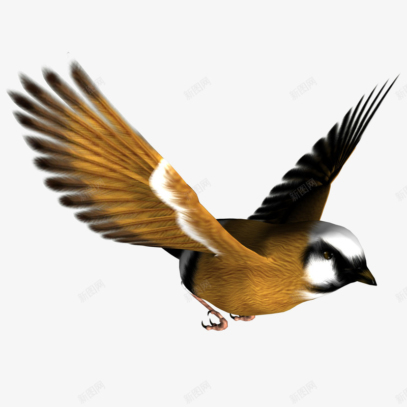 手绘飞翔的喜鹊png免抠素材_新图网 https://ixintu.com 卡通 喜鹊 小鸟 手绘 飞翔 飞行动物