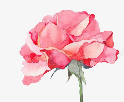 花png免抠素材_新图网 https://ixintu.com 中国风 手绘 水粉画 玫瑰花 粉色 花 鲜花