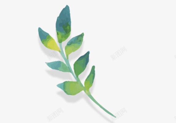 小绿叶绿色的叶子png免抠素材_新图网 https://ixintu.com 一片 叶子 图案 夏天 手绘植物 春天 树叶 植物 绘画 绿色 装饰