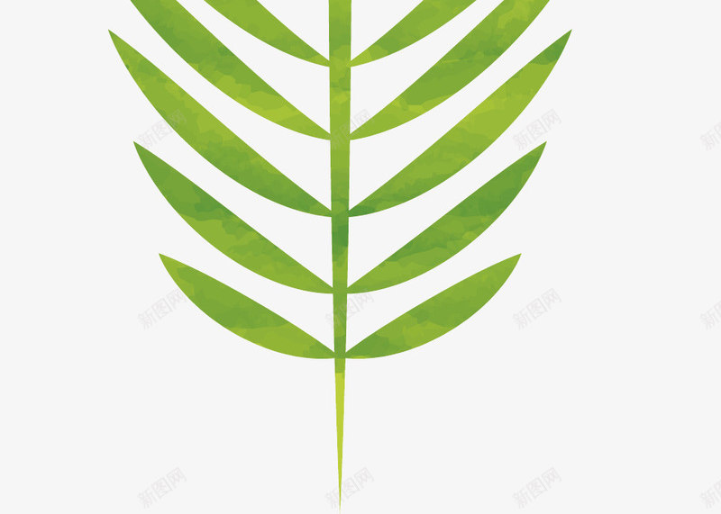 简单的树叶矢量图ai免抠素材_新图网 https://ixintu.com 树叶 树叶纹理 漂浮树叶 简单 线描树叶 绿色树叶 矢量图