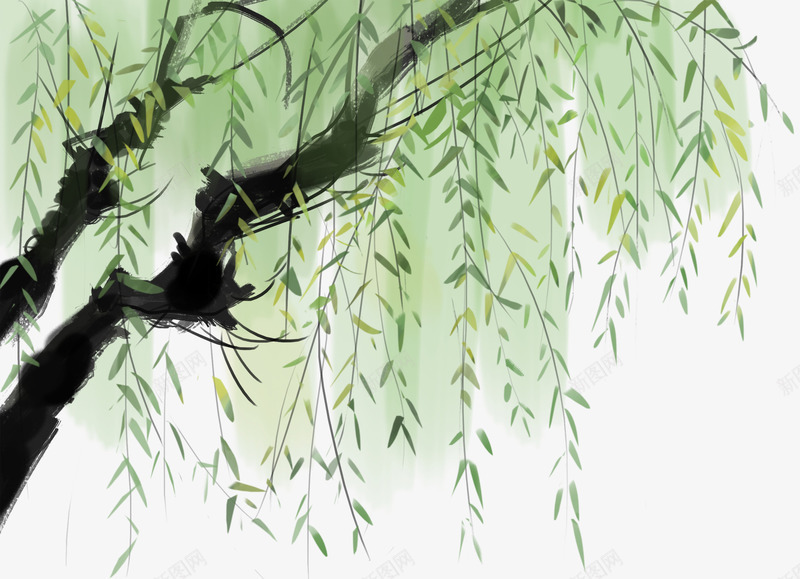 手绘杨柳枝插画png免抠素材_新图网 https://ixintu.com 垂杨柳 大柳树 手绘 手绘插画 春天 杨柳 柳枝 柳树 柳树叶 树木 装饰图案