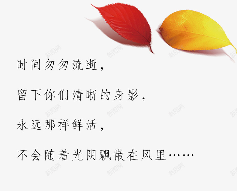 毕业季时光语录psd免抠素材_新图网 https://ixintu.com 时光 毕业 毕业季 青春