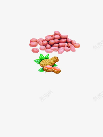 优质花生米png免抠素材_新图网 https://ixintu.com 红皮花生 花生壳 花生油广告素材 食物