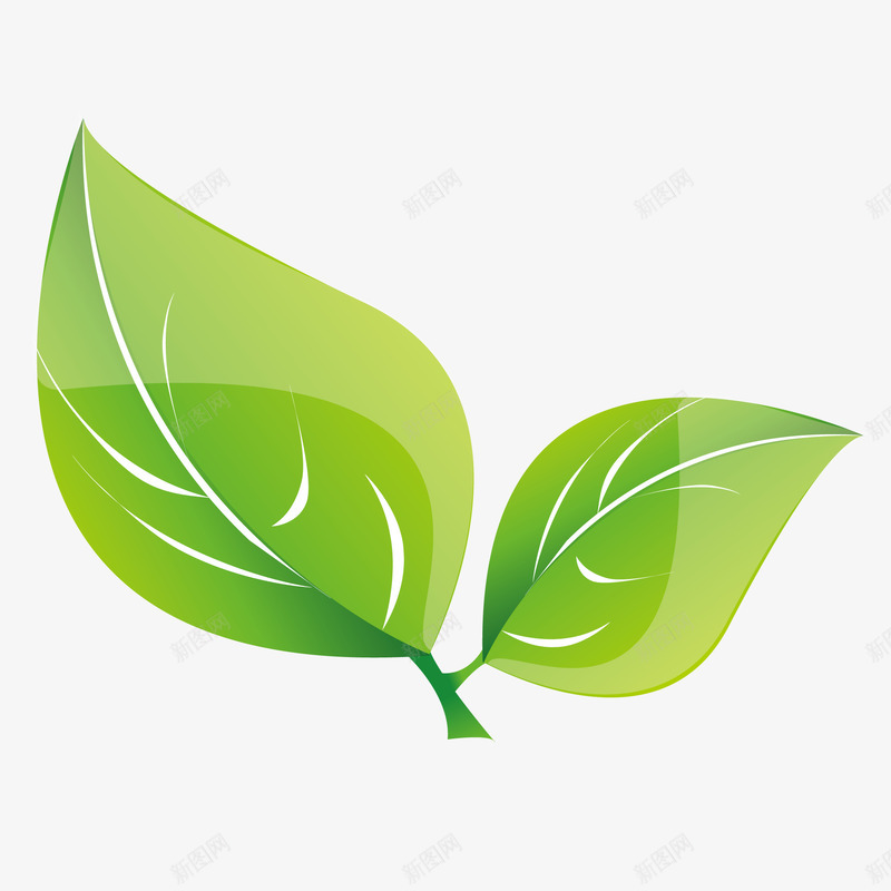 绿色植物叶子矢量图ai免抠素材_新图网 https://ixintu.com 叶子真实 图案 手绘 树叶 模型 矢量图 绘画 装饰