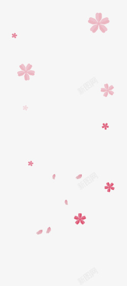 粉色樱花主题樱花花朵高清图片