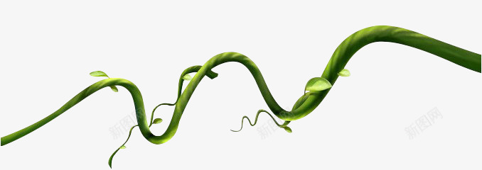 卡通藤条绿色植物png免抠素材_新图网 https://ixintu.com 卡通 植物 绿色 藤条
