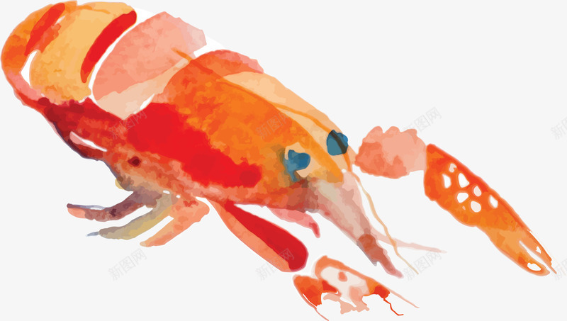 卡通龙虾插画装饰图案png免抠素材_新图网 https://ixintu.com 卡通插画 水产 水产品 水彩插画 海鲜 虾子 龙虾 龙虾插画