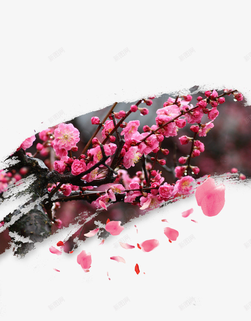 梅花png免抠素材_新图网 https://ixintu.com 中国风 四君子 墨笔 梅花 水墨画 腊梅
