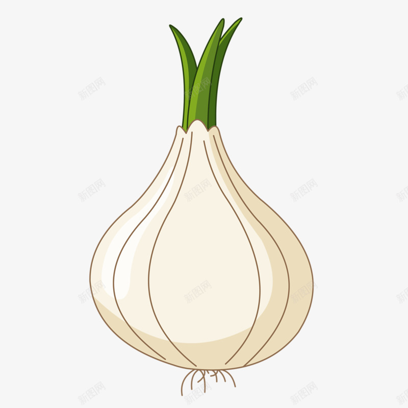 白色风信子png免抠素材_新图网 https://ixintu.com 好看 白色 简单 风信子