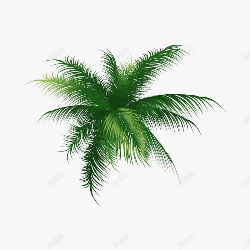 椰子树矢量图ai免抠素材_新图网 https://ixintu.com 俯视椰子树 植物矢量素材矢量树木椰子树剪影绿色树叶 矢量图