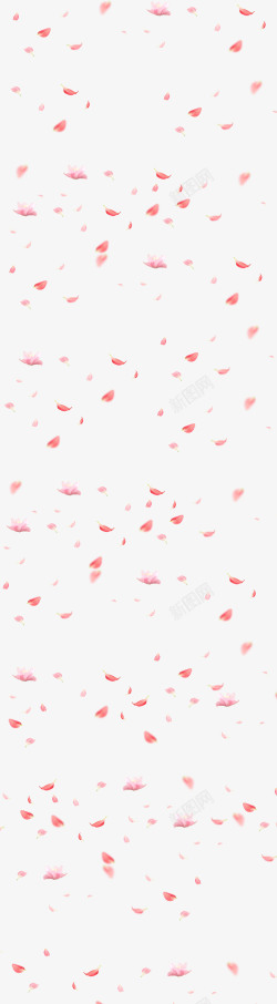 的桃花漂浮花瓣高清图片