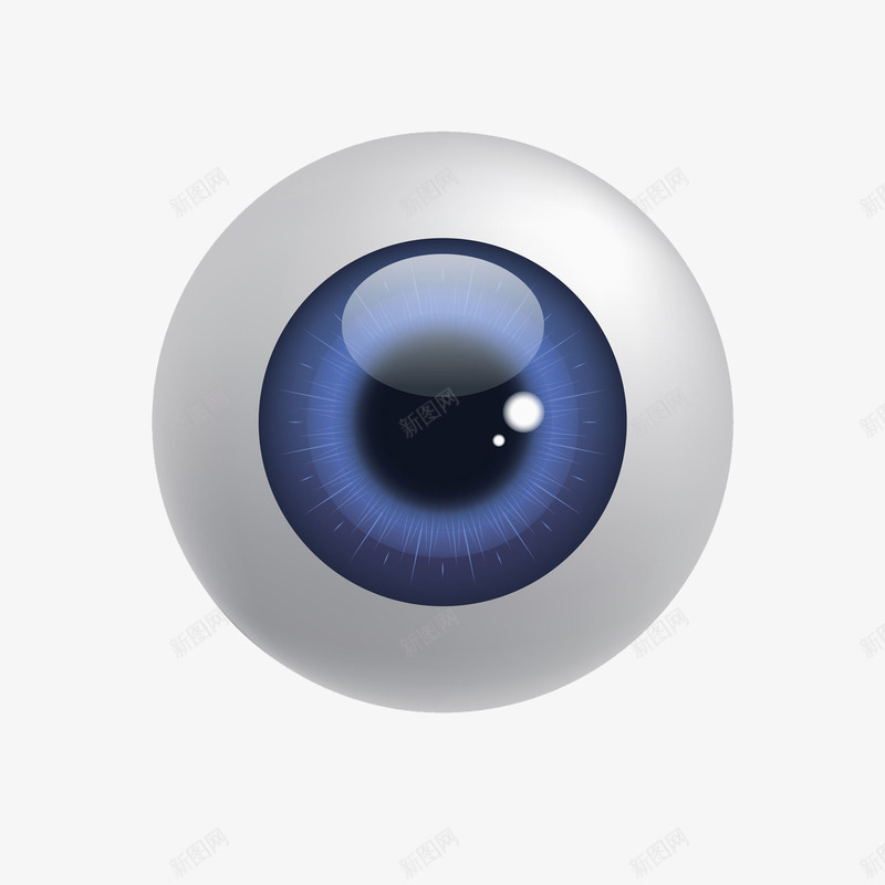人体眼睛器官卡通插画png免抠素材_新图网 https://ixintu.com 人 人体眼睛器官卡通插画 医疗 眼 眼睛插画 瞳孔 虹膜 身体器官