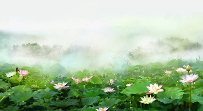 荷花池png免抠素材_新图网 https://ixintu.com ps花池 云 荷叶 荷花 荷花池