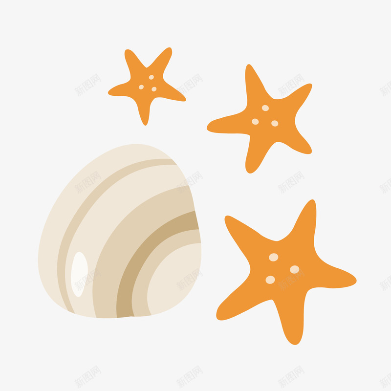 海星贝壳png免抠素材_新图网 https://ixintu.com 海底动物 海星 贝壳