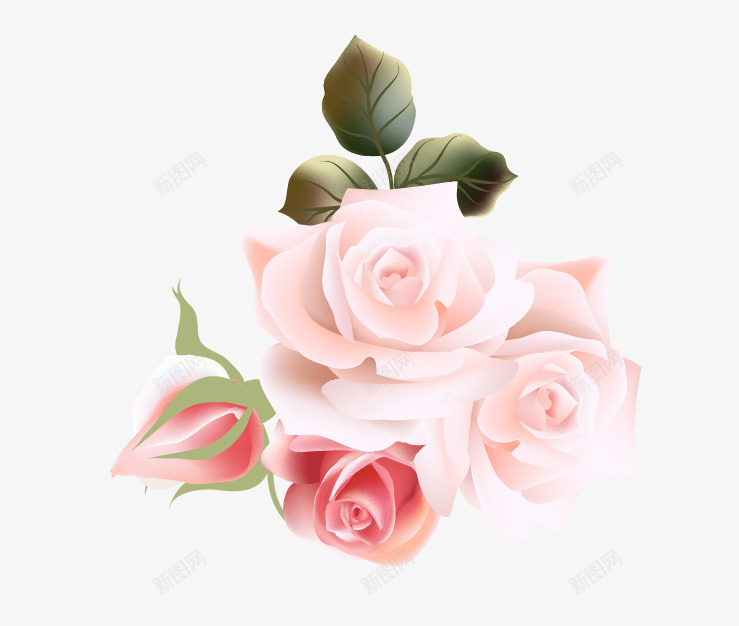 精美手绘玫瑰花png免抠素材_新图网 https://ixintu.com 唯美 爱情 玫瑰花 花朵