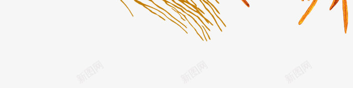 手绘人参png免抠素材_新图网 https://ixintu.com 手绘人参 药品原材料 药材 补品 补药