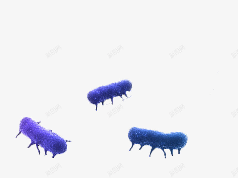 沙门氏菌png免抠素材_新图网 https://ixintu.com 微生物 显微镜下实物 沙门氏菌