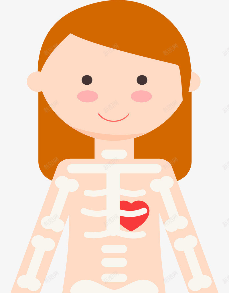 女人人体骨架图png免抠素材_新图网 https://ixintu.com 人体 人体器官 人体躯干 人的肢体 卡通人体 卡通肢体 器官 四肢 女人躯体 躯体