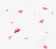 漂浮花瓣png免抠素材_新图网 https://ixintu.com 唯美 桃花瓣 桃花纷飞 浪漫花朵漂浮 漂浮 秋天 粉色 粉色桃花 花瓣点缀 花瓣雨 飞杨的花瓣