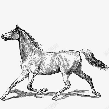 线描奔跑的马图标图标icon 线描奔跑的马图标图标