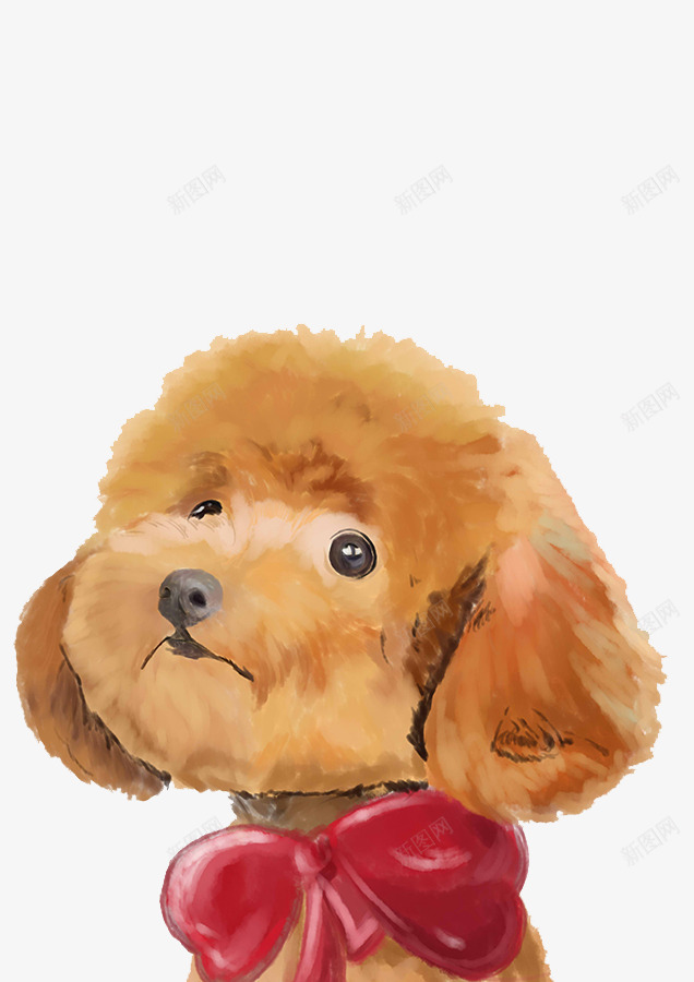 可爱的泰迪狗png免抠素材_新图网 https://ixintu.com 卡通 卡通泰迪狗 可爱 小狗 手绘 棕色 毛茸茸 泰迪 温顺