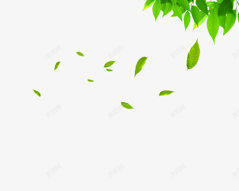 漂浮树叶背景图png免抠素材_新图网 https://ixintu.com 树叶 漂浮 背景