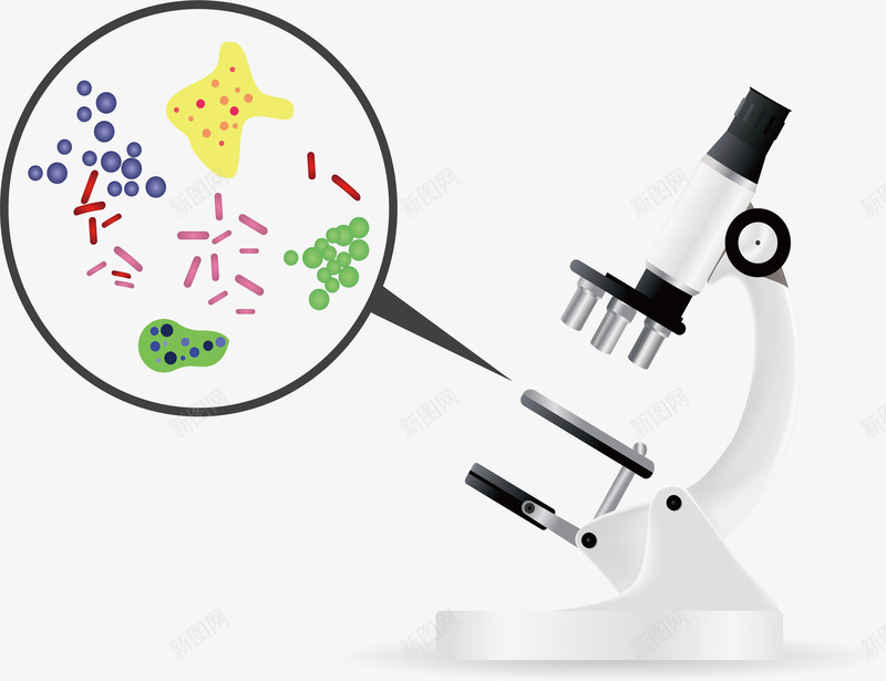 显微镜下的细菌矢量图ai免抠素材_新图网 https://ixintu.com 显微镜 生物科学 生物科技 病毒 矢量png 细菌 矢量图