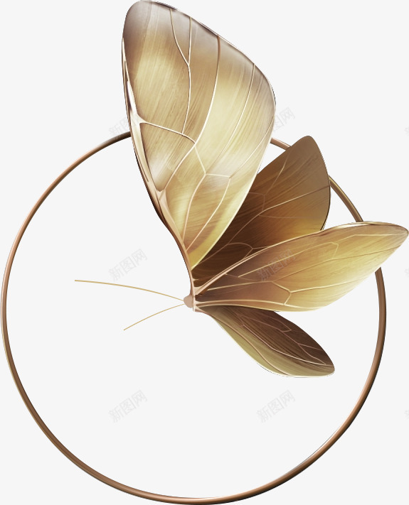 金色蝴蝶圈装饰png免抠素材_新图网 https://ixintu.com 动态蝴蝶 蝴蝶振翅 金圈 金属 金蝴蝶 高档