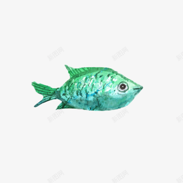 绿色手绘水彩海洋生物鱼类图案png免抠素材_新图网 https://ixintu.com 手绘 水彩 海洋生物 海洋馆 绿色 鱼类