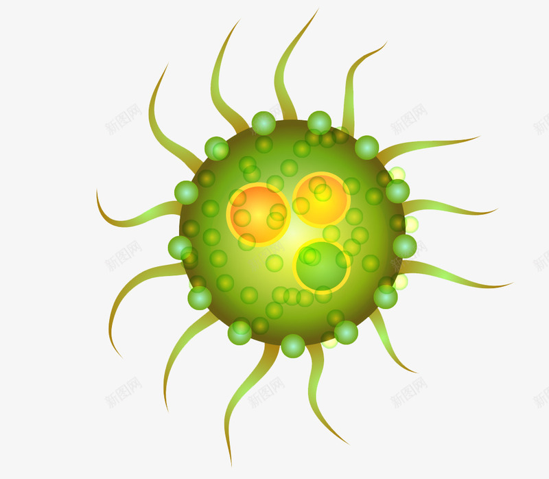 细菌微生物png免抠素材_新图网 https://ixintu.com 医学 感染 病句 病毒 研究