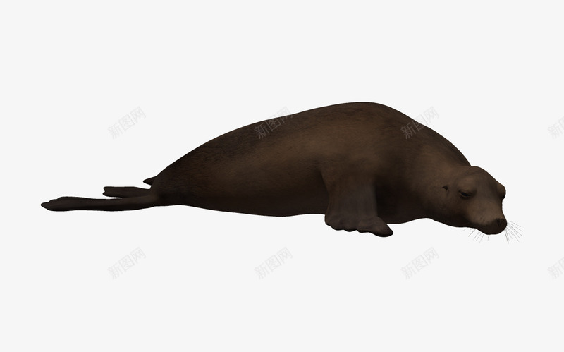 海洋生物鱼png免抠素材_新图网 https://ixintu.com 3d 3d卡通鱼 海底 海洋生物 蓝色