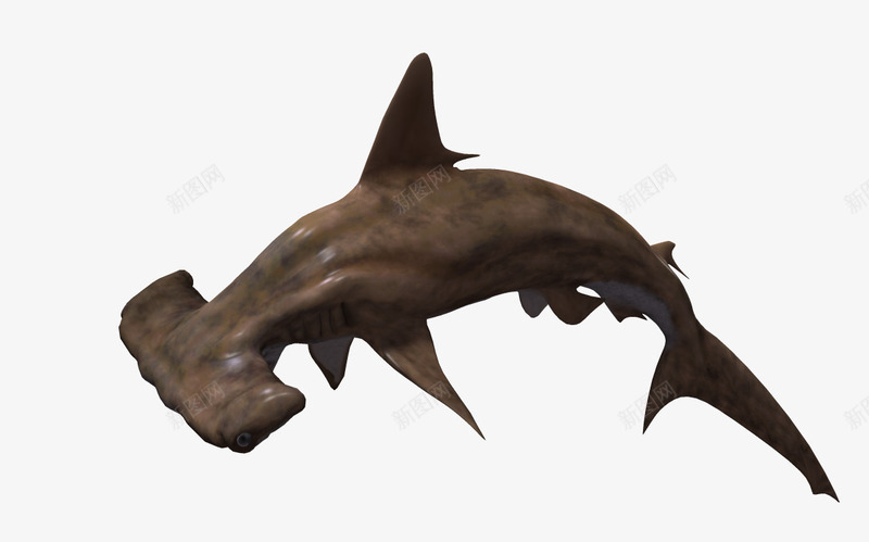 3d卡通动物png免抠素材_新图网 https://ixintu.com 3d卡通鱼 卡通 海底世界 海底动物 鱼类
