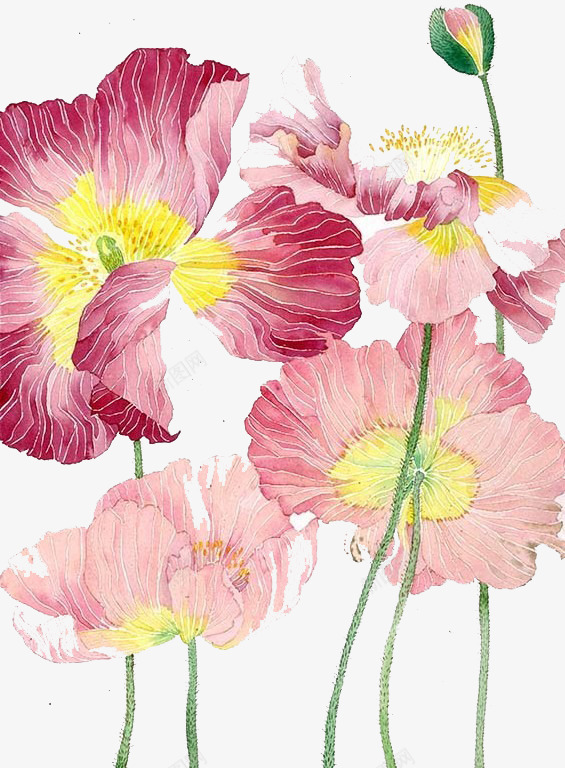 花png免抠素材_新图网 https://ixintu.com 中国风 手绘 水粉画 粉色 素材 花