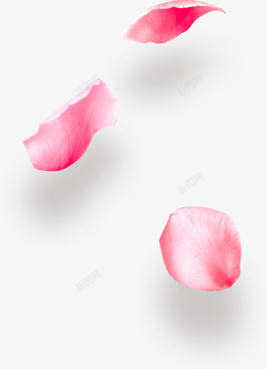 手绘春日美景花瓣png免抠素材_新图网 https://ixintu.com 粉色 花瓣 花飘落 飞舞 手绘 春日 美景