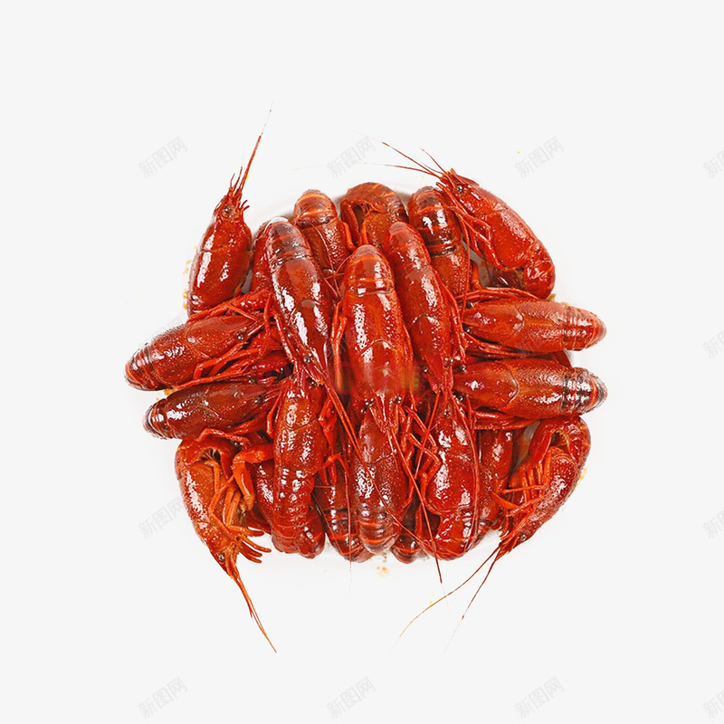 夏季油焖大虾实物png免抠素材_新图网 https://ixintu.com 夏季油焖大虾 小龙虾 暑假油焖大虾 油焖大虾 虾子 龙虾美食