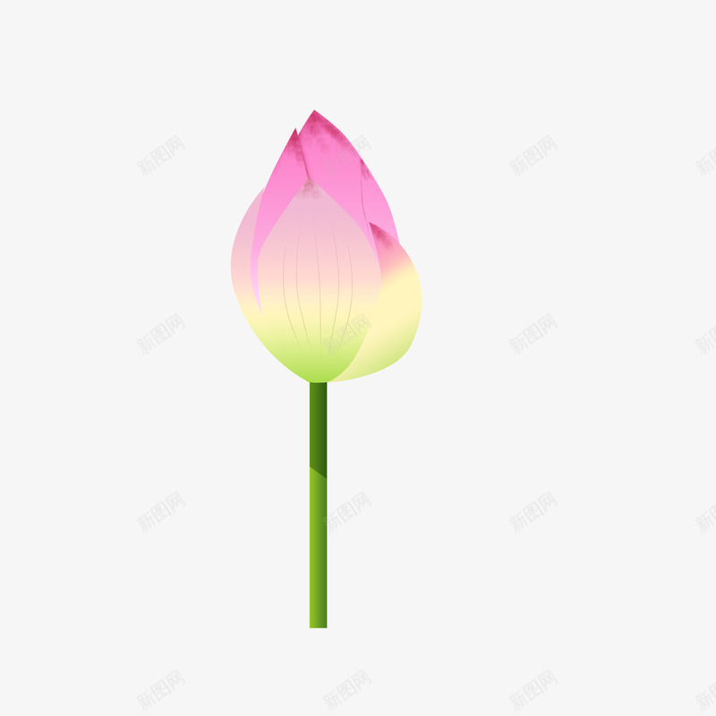 粉红色的荷苞png免抠素材_新图网 https://ixintu.com 含苞待放 植物 粉红色 绿枝 花瓣 荷苞 观赏