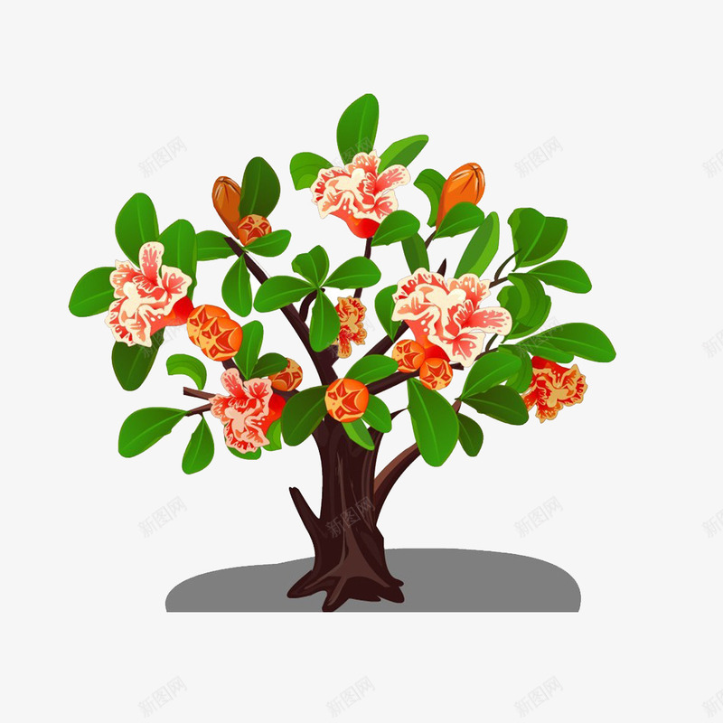 石榴花png免抠素材_新图网 https://ixintu.com 树 石榴 石榴树 石榴树平面图 石榴花 花 花草树木