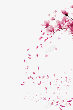 飘落的桃花半圆形漂浮樱花高清图片